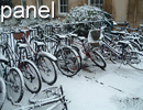 Picture of piled up hastily abandonned bicycles.  Our mediators are busy rushing to class.
